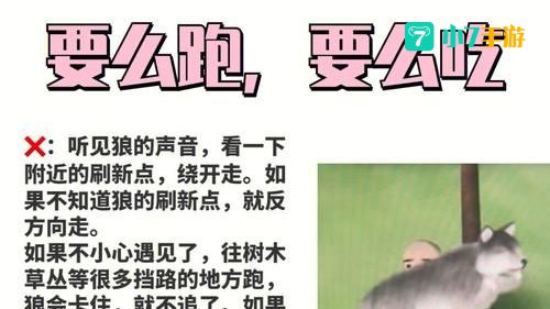 第一条暴君的刷新时间